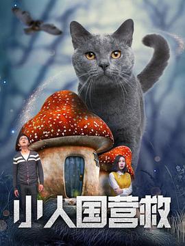 糖心vlog视频在线观看