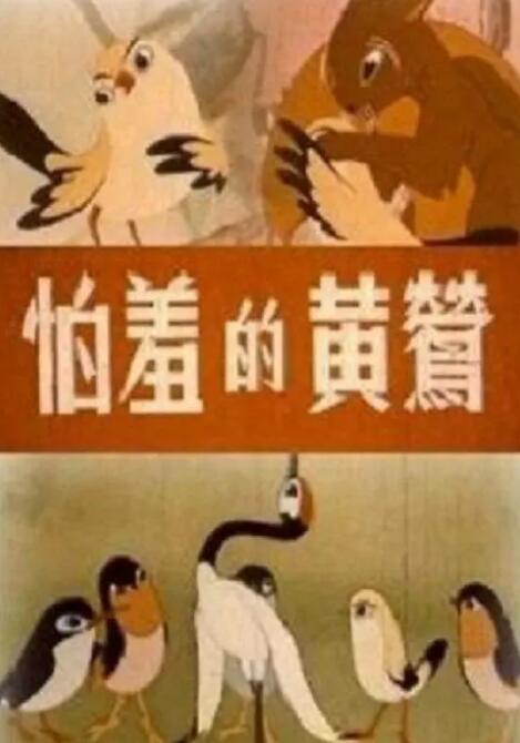 亚洲视频一