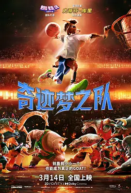 h黄视频