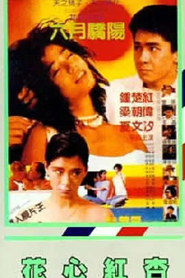 午夜精品区