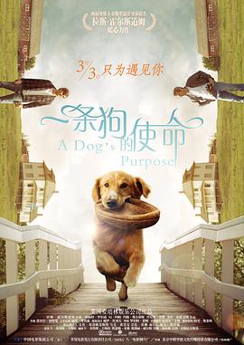 欧美另类专区