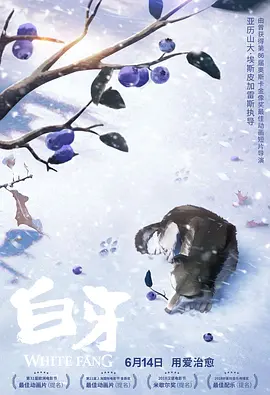 天天操天天摸天天爽