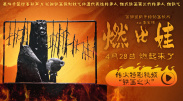 老司机在线播放