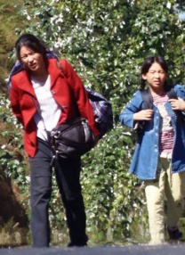 久播播