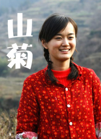 久久久精品tv