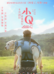 国产91精品黄网在线观看