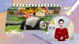 国产91在线chines看